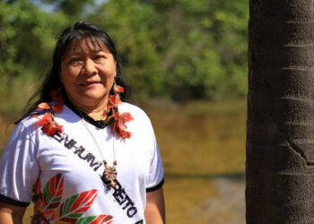 Brasil: “Estamos escribiendo nuestra historia”, dice primera mujer indígena elegida diputada