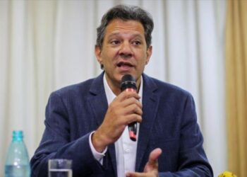 Brasil. Haddad busca unir “fuerzas democráticas” para hacer frente a Bolsonaro