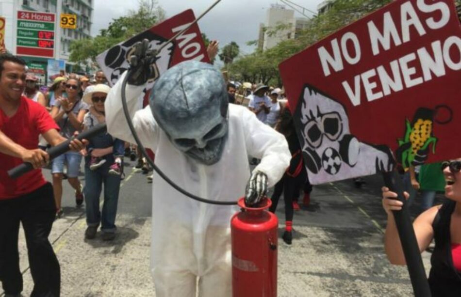 Chile. Amnistía Internacional: “La violencia contra defensores del medio ambiente ha pasado los límites aceptables”