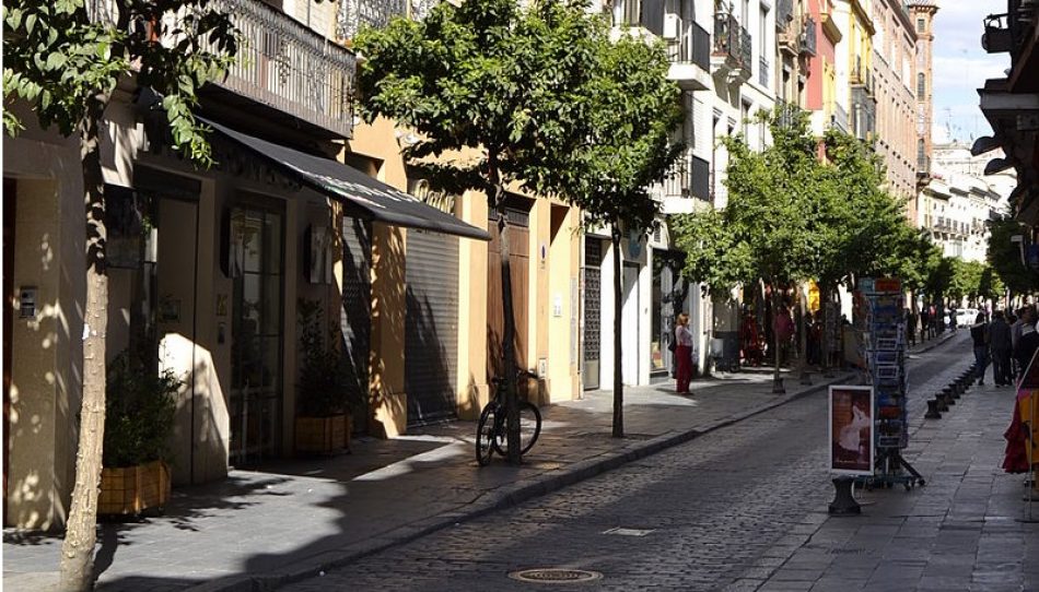 IU critica que Espadas siga sin hacer nada para limitar el tráfico privado en el Casco Histórico y lamenta el “mandato perdido” en materia de movilidad