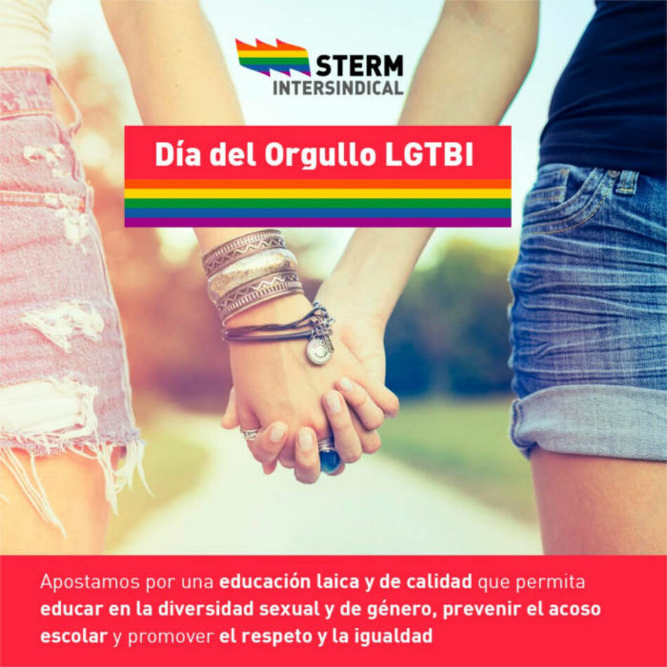 STERM-i exige un Plan Integral de Educación y Diversidad LGTBI