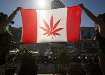Canadá sigue la senda marcada por Uruguay y legaliza la venta y el consumo recreativo de marihuana
