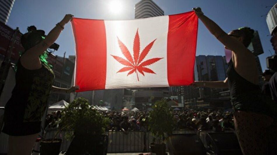 Canadá sigue la senda marcada por Uruguay y legaliza la venta y el consumo recreativo de marihuana
