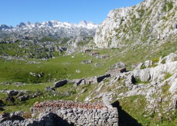 Quedan 800 días para detener la pérdida de biodiversidad