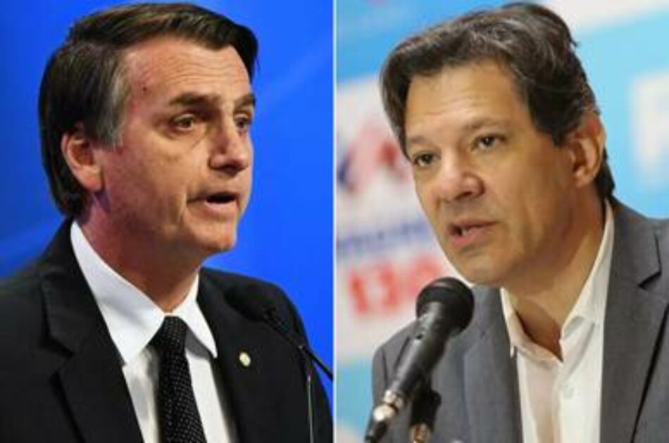 Cinco puntos separan a Haddad de Bolsonaro, según Vox Populi