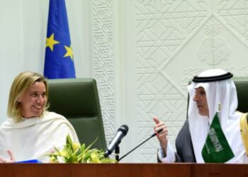 Vallina insta a Mogherini en el Parlamento Europeo a que “sea valiente” y “promueva de una vez el embargo europeo a la venta de armas” a Arabia Saudí