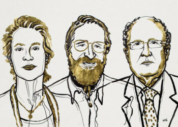 Nobel de Química para los ‘directores’ de la evolución proteica