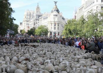 Ecologistas en Acción solicita al gobierno municipal de Madrid apoyar a las vías pecuarias