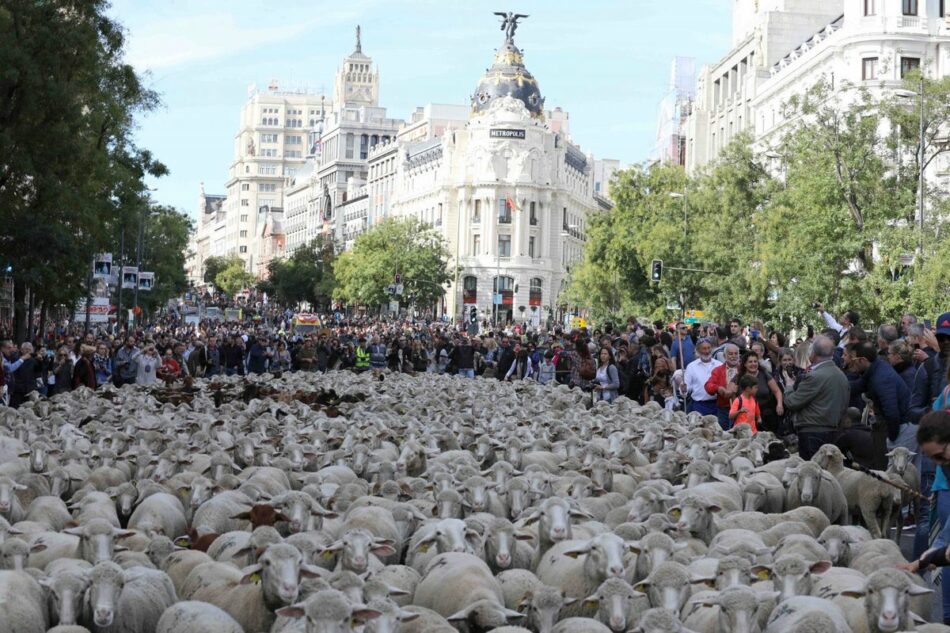 Ecologistas en Acción solicita al gobierno municipal de Madrid apoyar a las vías pecuarias