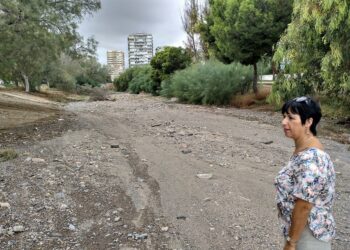 IU Roquetas recupera su propuesta de un nuevo proyecto para la rambla de San Antonio de Aguadulce