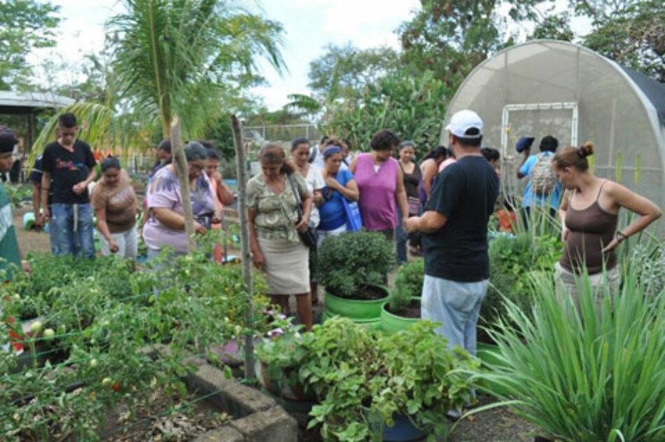 Nicaragua impulsa el programa «patio saludable» que potencia la agricultura urbana