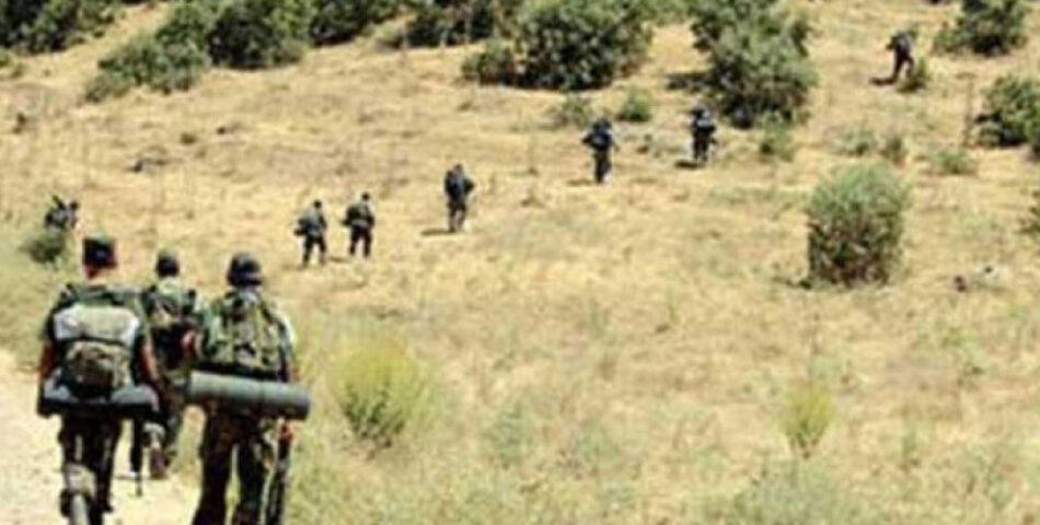 Ejército turco lanza nueva operación en la zona rural de Sirnak