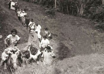 Colombia. Despojo de la tierra y genocidio