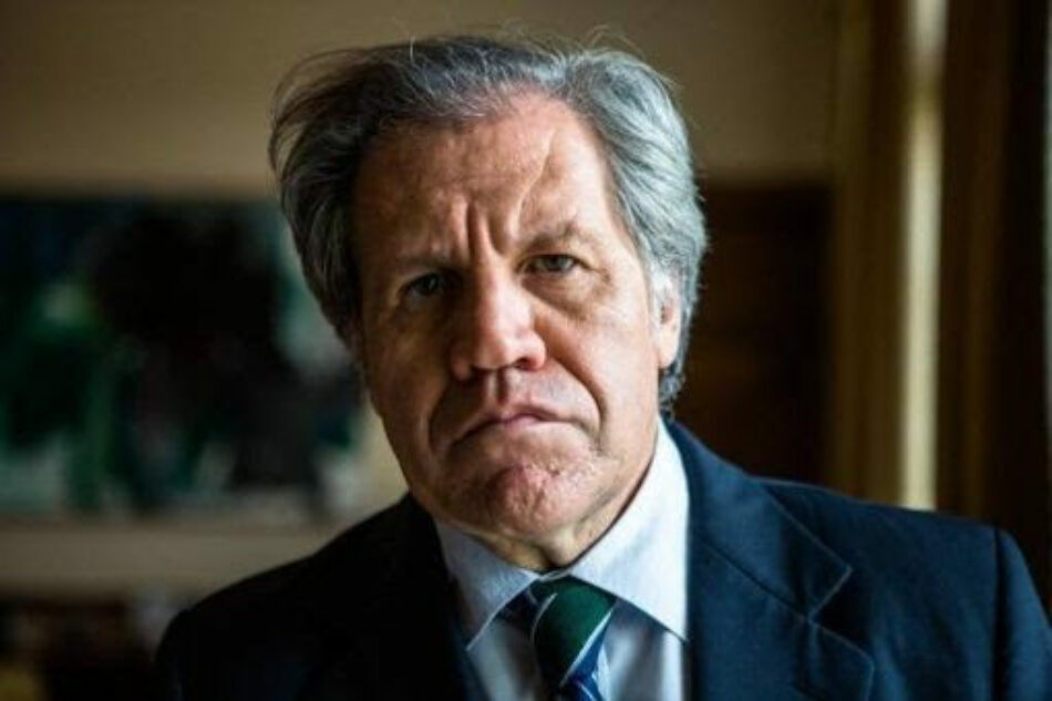 Luis Almagro, el agente secreto de la CIA