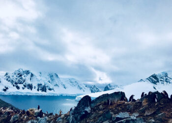 Greenpeace acusa a la Comisión del Océano Antártico de “no cumplir su mandato” para proteger las aguas antárticas