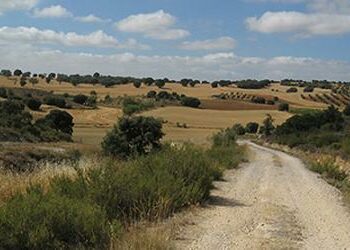 Ecologistas en Acción denuncia al Ayuntamiento de Boadilla del Monte por construir un aparcamiento sobre una vía pecuaria