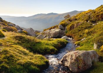 Pleno del Patronato del Parque Nacional de la Sierra de Guadarrama en medio de las fuerte críticas de ecologistas a su actual Plan Rector