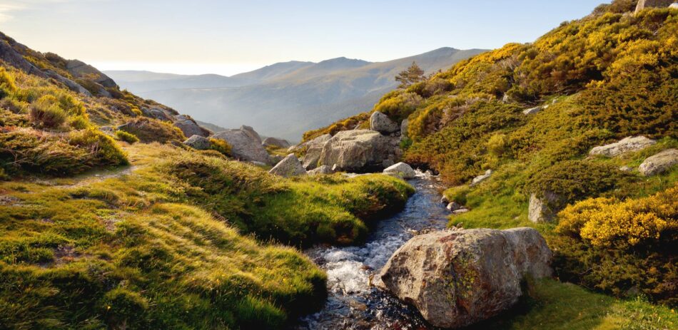 Pleno del Patronato del Parque Nacional de la Sierra de Guadarrama en medio de las fuerte críticas de ecologistas a su actual Plan Rector