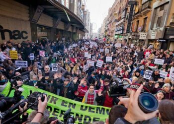 El Consejo de Europa insta al Parlamento Español a garantizar la libertad de expresión en la reforma de la «Ley Mordaza»