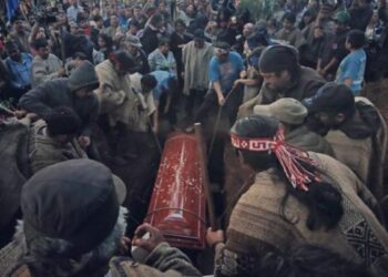 Los negocios de Piñera, Macri y Bolsonaro detrás de la muerte del comunero mapuche