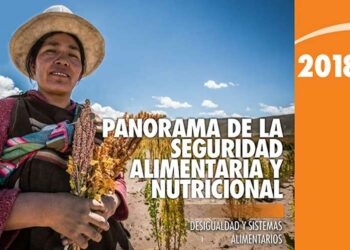 Desigualdad genera pobreza y desnutrición, asegura ONU