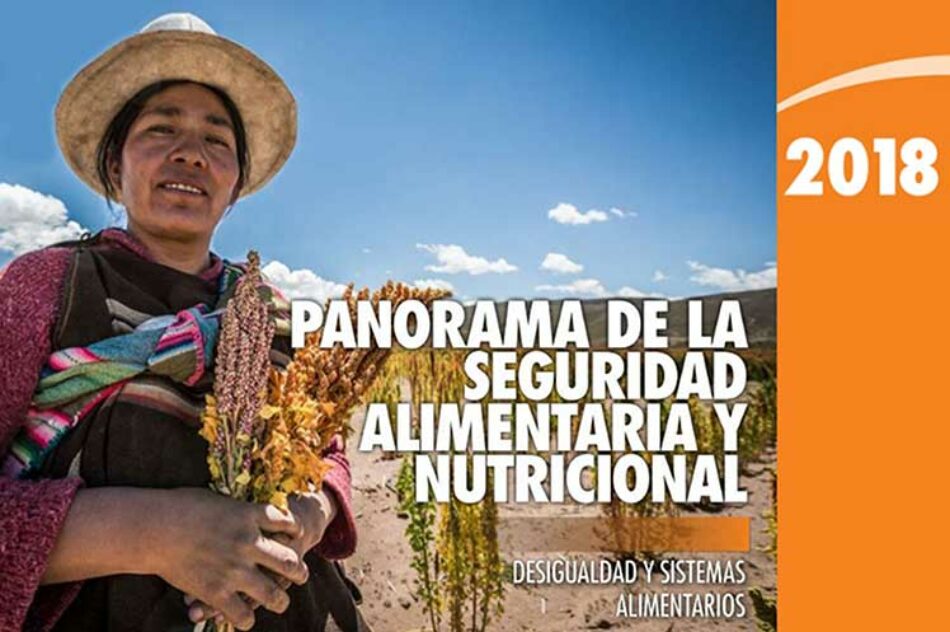 Desigualdad genera pobreza y desnutrición, asegura ONU