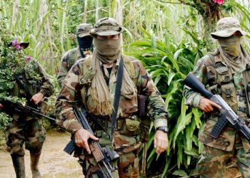 Las verdaderas motivaciones del ataque paramilitar colombiano en el estado fronterizo de Amazonas