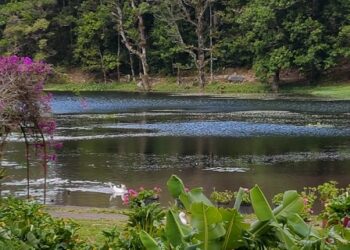 Visitar Nicaragua