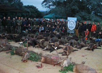 Ecologistas Extremadura critica que las empresas cinegéticas se estén lucrando dentro de un Parque Nacional con las monterías