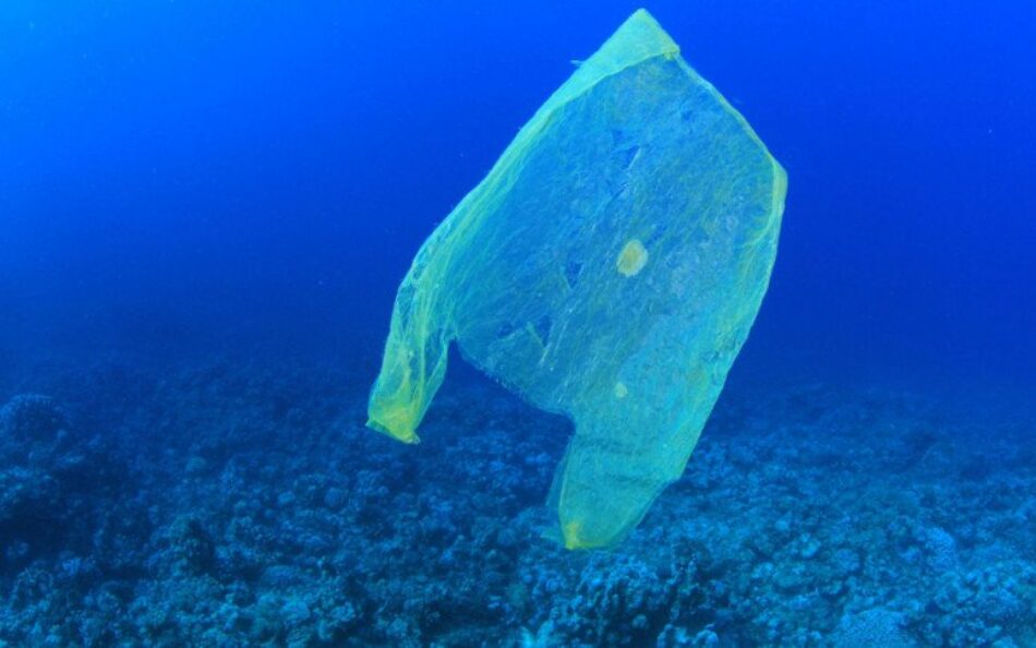 Decisión sin precedentes: la UE acuerda la prohibición de los plásticos de un solo uso
