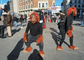 Varios orangutanes reclaman en la Plaza de Callao de Madrid el fin del uso del biodiésel de palma