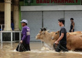 Tormenta Usman deja 68 muertos y más de 100.000 evacuados en Filipinas