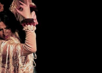 VOX: Eliminar el Instituto Andaluz de la Mujer y el de Flamenco