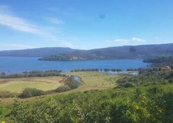 Fallo histórico restituye tierras a comunidad mapuche en Chile