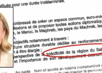 Dimite la ponente del Parlamento europeo para el acuerdo sobre el Sahara Occidental