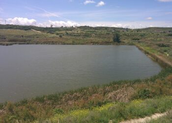 Ecologistas en Acción denuncia que el Plan de Actuación sobre Humedales de la Comunidad de Madrid es insuficiente y llega con dos décadas de retraso