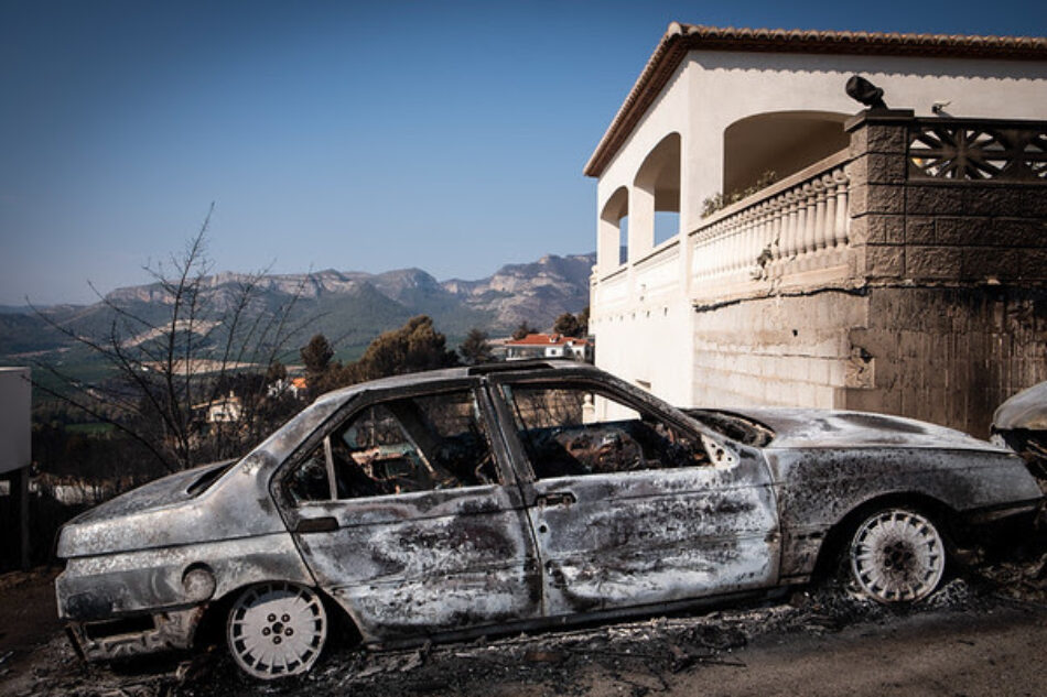 ¿Un año (casi) sin incendios? Greenpeace advierte de que los buenos datos no pueden llevar a la inacción