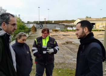 IU lamenta que Espadas siga desmantelando el vivero municipal y reclama un giro de 180 grados en la gestión de parques y jardines