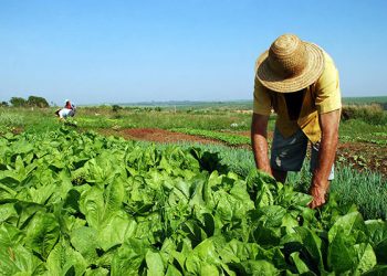 Gobierno de Brasil da marcha atrás a la decisión de suspender la reforma agraria