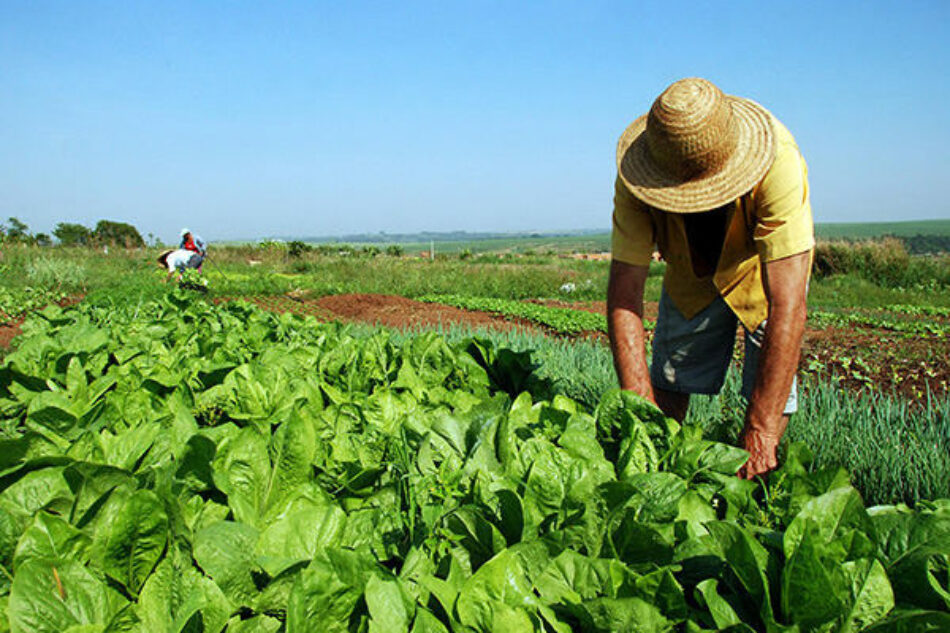 Gobierno de Brasil da marcha atrás a la decisión de suspender la reforma agraria