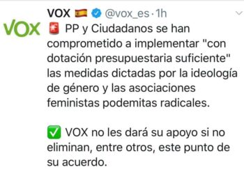 Vox asegura que «no apoyará a PP y Ciudadanos en Andalucía si no eliminan, entre otras medidas, el apoyo presupuestario para luchar contra la violencia de género»