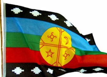 Nación Mapuche. Declaración de comunidades en proceso de control territorial y CAM