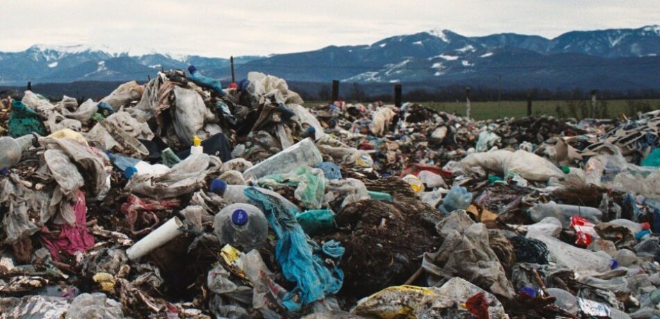 2019, un año para encaminar una nueva década ecologista y feminista