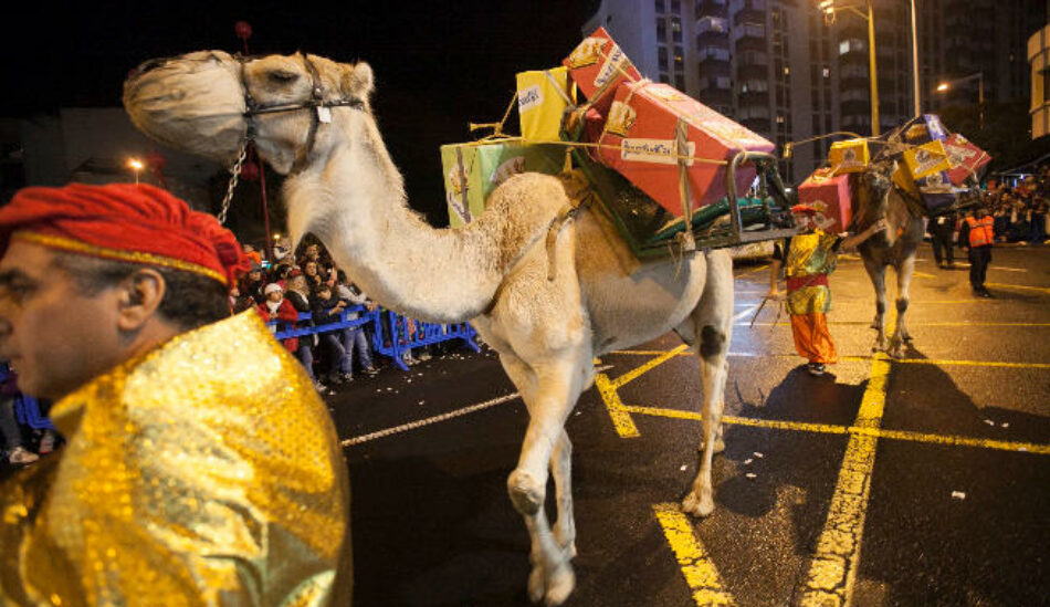 Evitemos un sufrimiento innecesario a los animales en las Cabalgatas de Reyes