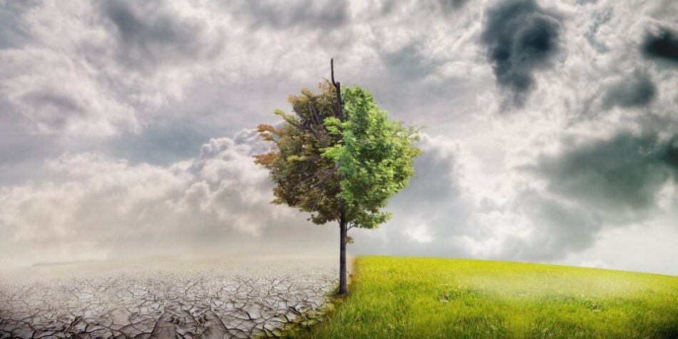 EQUO reclama al Gobierno de Sánchez mayor ambición presupuestaria contra el cambio climático