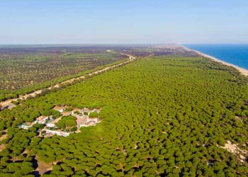 Alianza Verde reclama medidas urgentes para salvar Doñana 