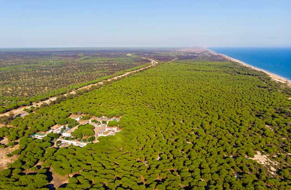 EQUO tratará de impedir por todos los medios la materialización de una autovía Huelva-Cádiz, que atravesaría el Parque Nacional de Doñana