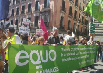 EQUO reivindica más políticas para la protección de los animales