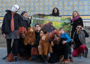 Los orangutanes de Borneo se presentan en la Delegación de la Comisión Europea en Madrid para pedir el fin del biodiésel de palma