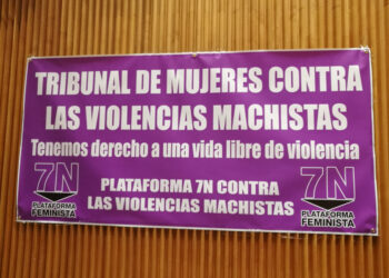 Plataforma 7N: «2019 empieza como acabó 2018: justicia patriarcal y asesinatos machistas»